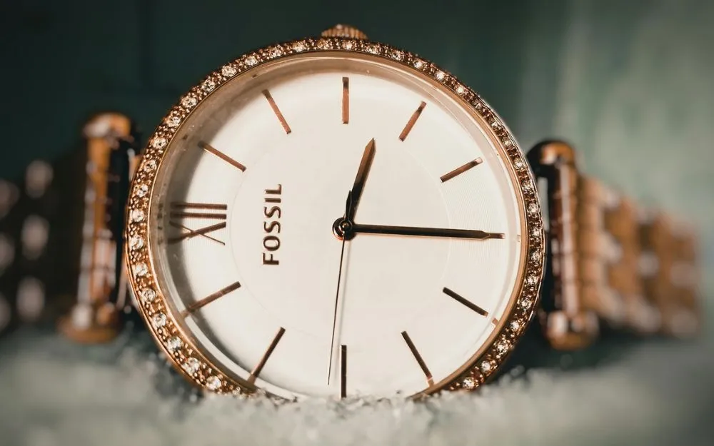 Top 10 Đồng Hồ Fossil Đính Đá Cho Nữ Bán Chạy Năm 2025