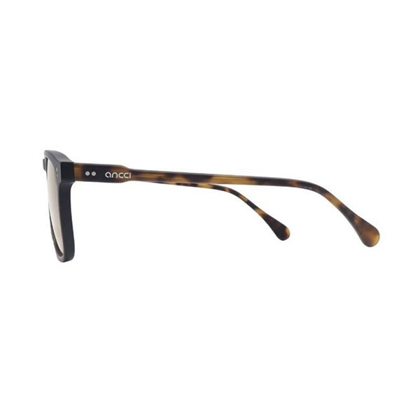 Kính Mát Unisex Ancci AT8780 C1-1 Sunglasses Màu Havana Vàng - Kính mắt - Vua Hàng Hiệu