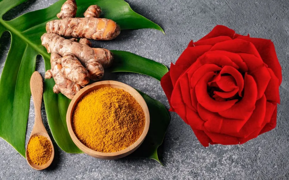 Mặt Nạ Hoa Hồng Có Công Dụng Gì? 5 Cách Làm Mặt Nạ Đơn Giản