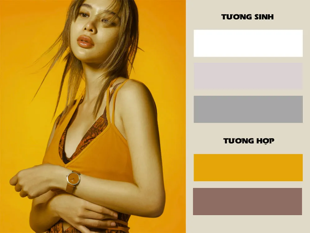 Mệnh Kim Đeo Đồng Hồ Màu Gì Hợp Phong Thủy, Hút May Mắn?