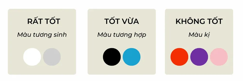 Năm 2026 là năm con gì? Mệnh gì? Tử vi của 12 con giáp trong năm nay