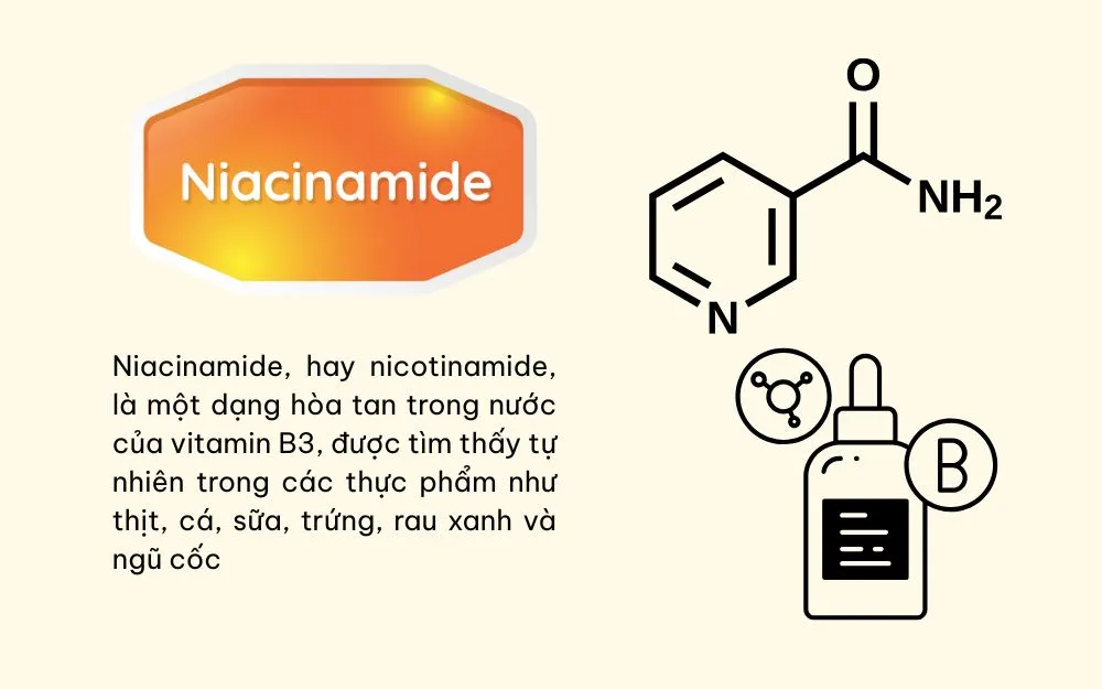 Thành Phần Niacinamide Là Gì? Niacinamide Có Tác Dụng Gì?