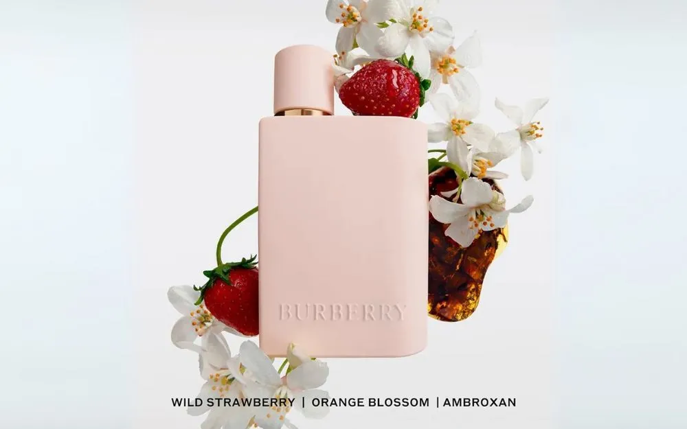 Xếp Hạng 6 Nước Hoa Burberry Her Thơm Lâu, Bán Chạy Hiện Nay