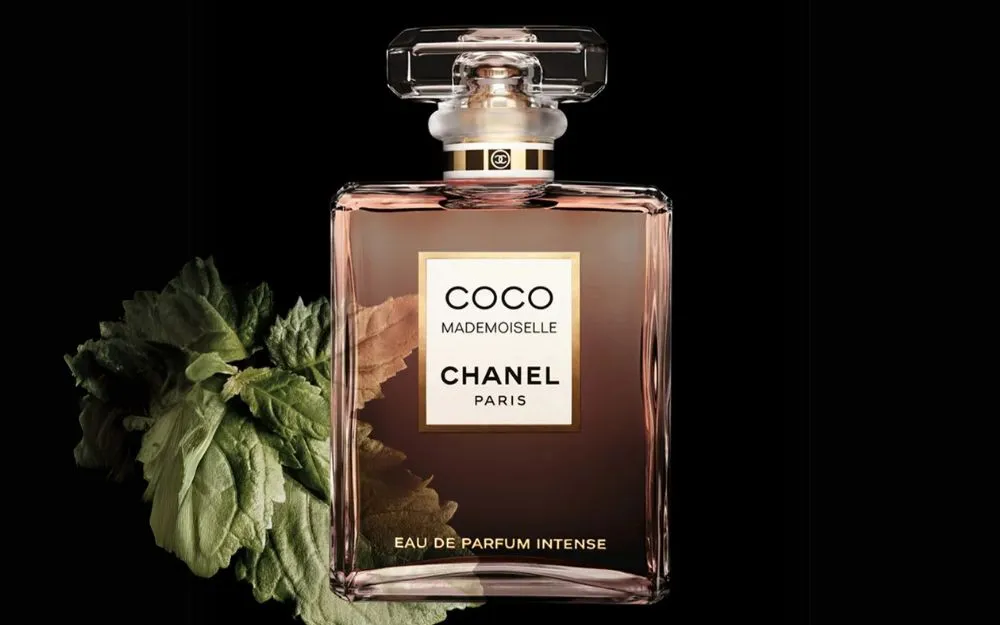 Review 5 Chai Nước Hoa Chanel Hồng Bán Chạy, Cực Thơm Cho Phái Nữ