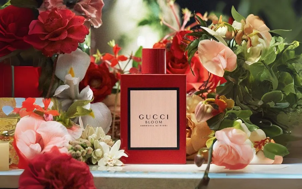 Review 2 Nước Hoa Gucci Màu Đỏ: Gucci Bloom Ambrosia & Gucci Rush