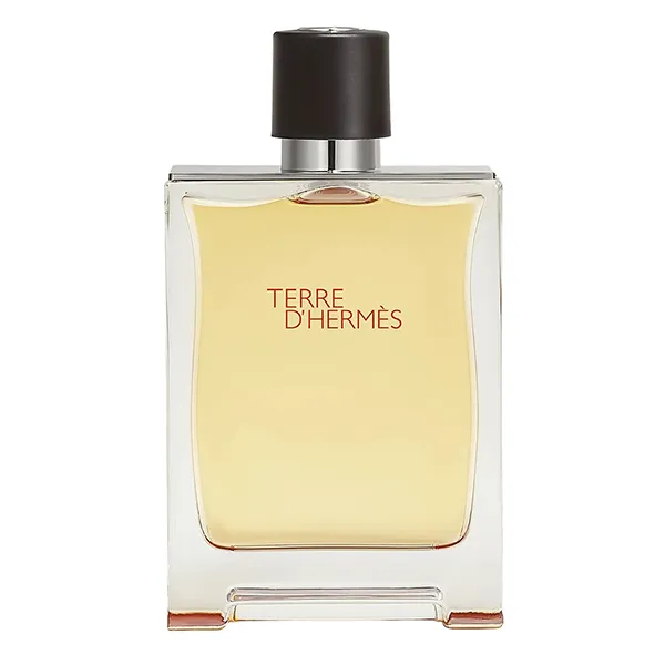 Nước Hoa Nam Hermès Terre D'hermès Paris Parfum Pure Perfume 200ml - Nước hoa - Vua Hàng Hiệu