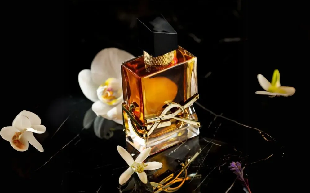 Top 3 Nước Hoa YSL Vàng Mùi Rất Thơm, Bán Chạy Hiện Nay
