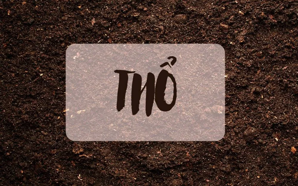 Cách Chọn Vòng Tay Phong Thủy Mệnh Thổ Và Gợi Ý 10 Vòng Tài Lộc