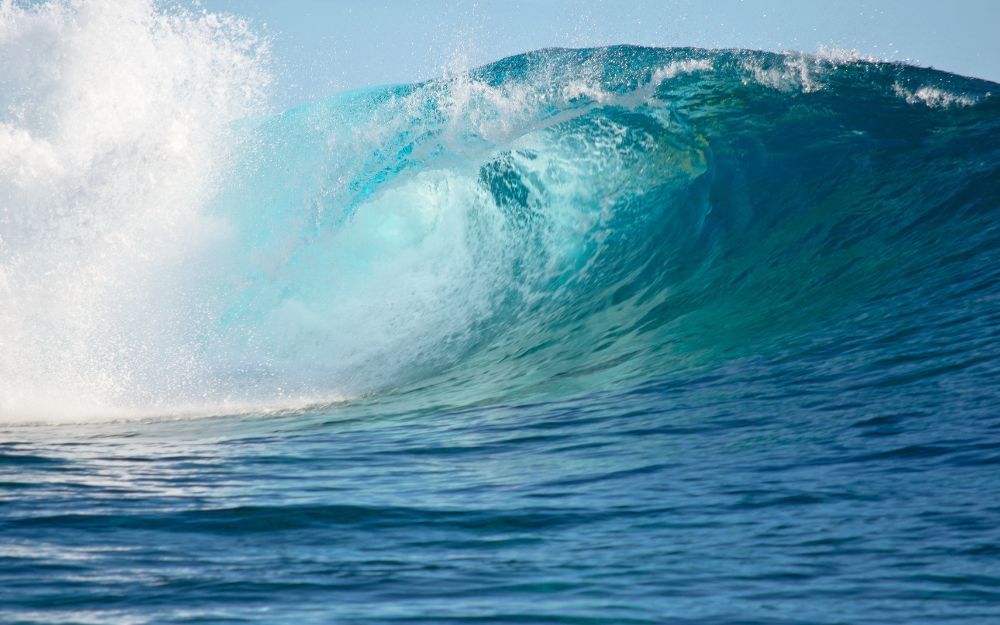 1982 Mệnh Gì Hợp Màu Gì? Gợi Ý Các Mẫu Trang Sức Thu Hút May Mắn - 1