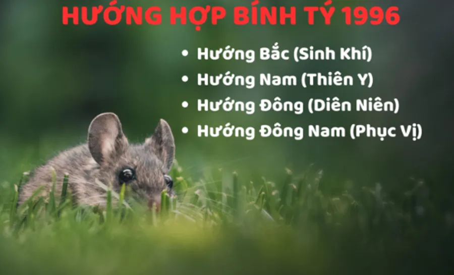 1996 mệnh gì? Hợp màu gì? Hợp tuổi nào? Hợp hướng nào?