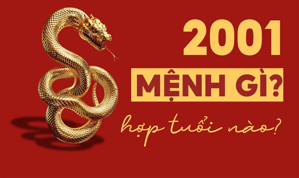 2001 Mệnh Gì? Hợp Màu Gì? Thuộc Cung Mệnh Nào?