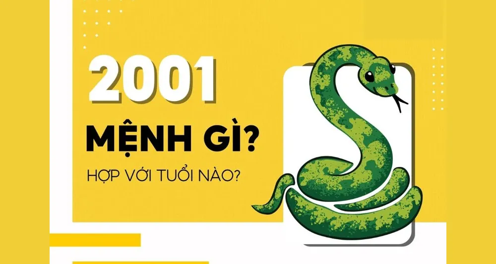 2001 Mệnh Gì? Hợp Màu Gì? Thuộc Cung Mệnh Nào?