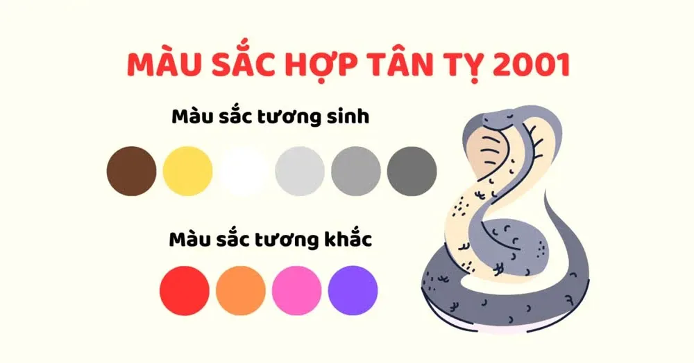 2001 Mệnh Gì? Hợp Màu Gì? Thuộc Cung Mệnh Nào?