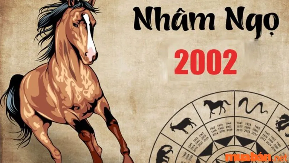 2002 Mệnh Gì? Tuổi Nhâm Ngọ 2002 Hợp Màu Gì? Kỵ Màu Gì?