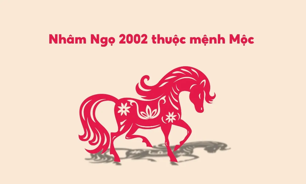 2002 Mệnh Gì? Tuổi Nhâm Ngọ 2002 Hợp Màu Gì? Kỵ Màu Gì?