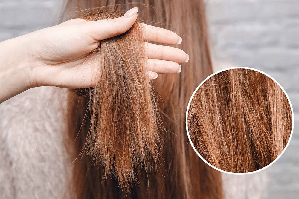 Kem Ủ Tóc Có Tác Dụng Gì? Top 5 Kem Ủ Tóc Bán Chạy, Phục Hồi Hư Tổn