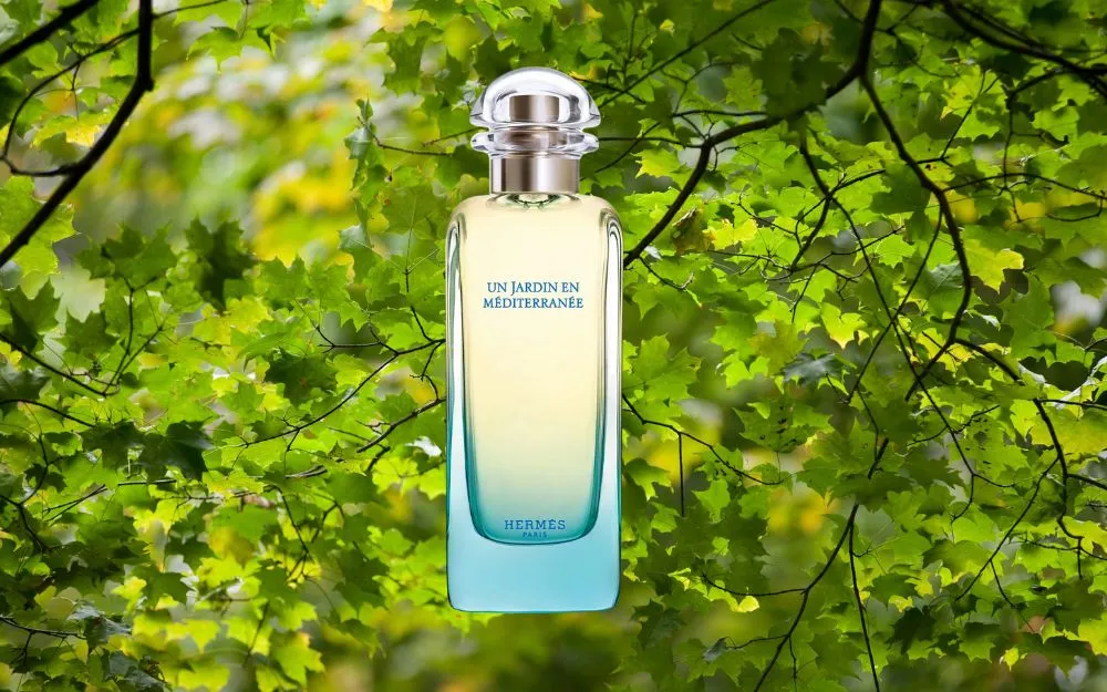 Review 8 Nước Hoa Hermes Xanh Bán Chạy, Thơm Lâu Hiện Nay