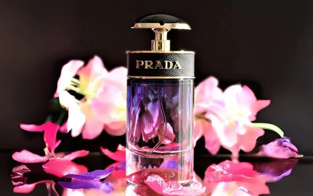 Review 04 Nước Hoa Prada Candy Bán Chạy, Được Săn Đón Hiện Nay