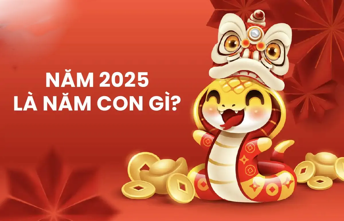 2025 Là Mệnh Gì? Tuổi Gì? Tìm Hiểu Về Tuổi Ất Tỵ 2025 - 1