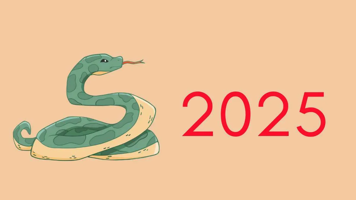 2025 Là Mệnh Gì? Tuổi Gì? Tìm Hiểu Về Tuổi Ất Tỵ 2025 - 2