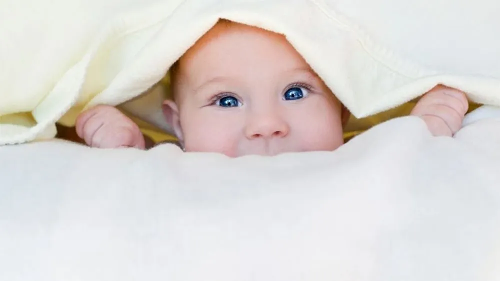 2025 Là Mệnh Gì? Tuổi Gì? Tìm Hiểu Về Tuổi Ất Tỵ 2025 - 3