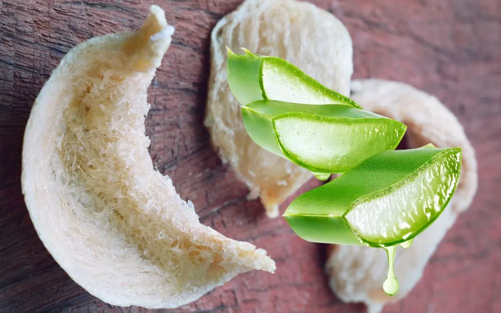 Mặt Nạ Yến: Công Dụng, Cách Làm Mặt Nạ Tại Nhà Đơn Giản, Hiệu Quả - 7