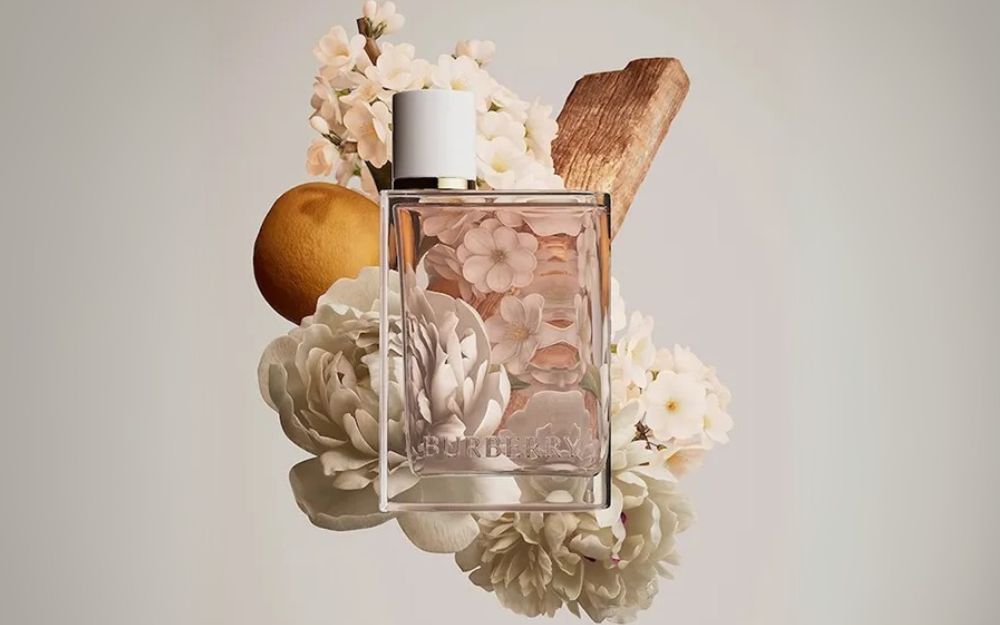 Review 06 nước hoa Burberry Hồng Bán Chạy, Được Ưa Chuộng Hiện Nay - 8