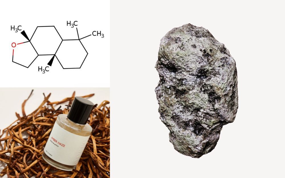 Điểm Danh 5 Nước Hoa Không Mùi Độc Lạ Trên Thị Trường Hiện Nay - 3