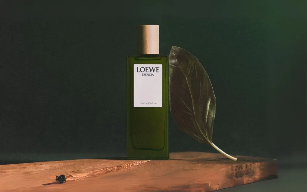 Review 09 Nước Hoa Loewe Bán Chạy, Thơm Lâu Hiện Nay - 12