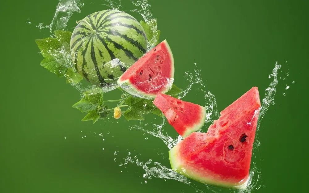 Top 6 Nước Hoa Mùi Dưa Hấu Ngọt Mát, Được Ưa Chuộng Hiện Nay - 1