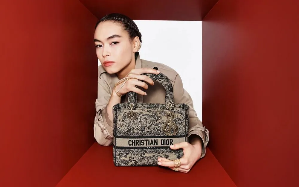 Top 8 Túi Dior Thổ Cẩm Bán Chạy, Được Ưa Chuộng Hiện Nay - 17