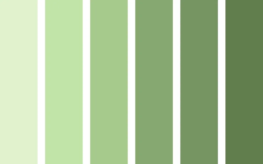 1988 Mệnh Gì Hợp Màu Gì? Gợi Ý Các Mẫu Trang Sức Thu Hút May Mắn - 3