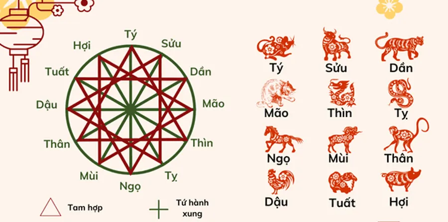 Sinh năm 2003 hợp tuổi gì, kỵ tuổi gì