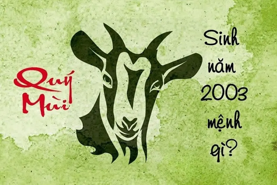 Người sinh năm 2003 mệnh gì?