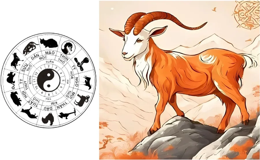 Cung mệnh của nam và nữ Quý Mùi 2003