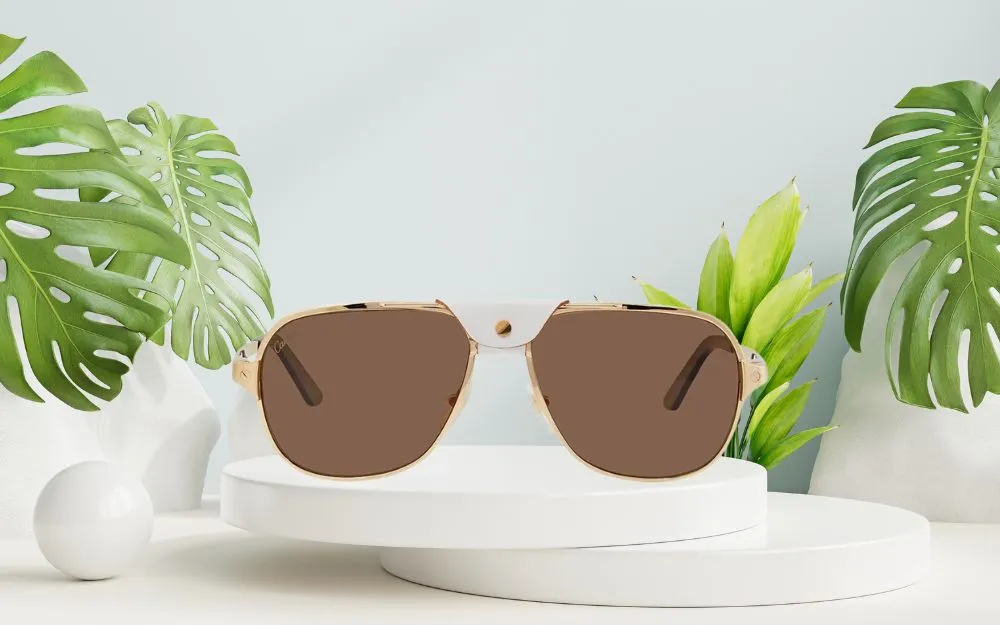 Top 10 Kính Râm Cartier Bán Chạy, Cực Sành Điệu Trong Năm 2025 - 5