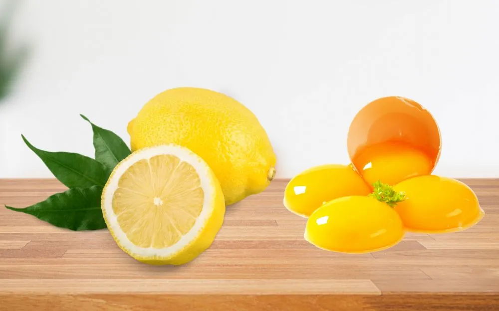 Top 5 Cách Làm Mặt Nạ Lòng Đỏ Trứng Gà Hỗ Trợ Giảm Nám Hiệu Quả - 2