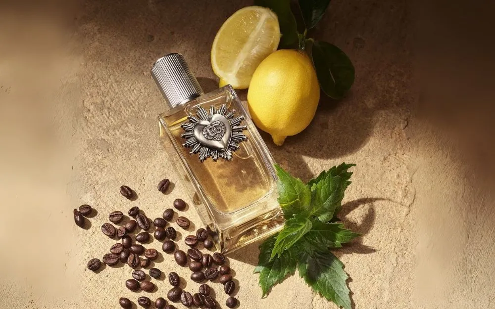 Top 10 Nước Hoa Hương Cà Phê Sảng Khoái, Nổi Bật Hiện Nay - 15