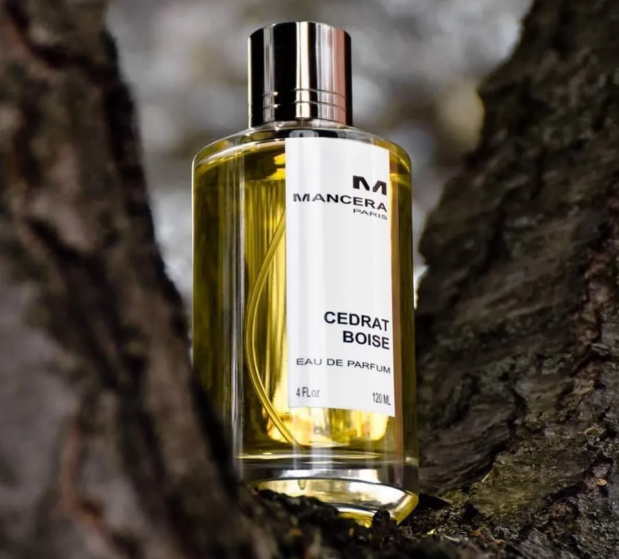 Mancera Cedrat Boise