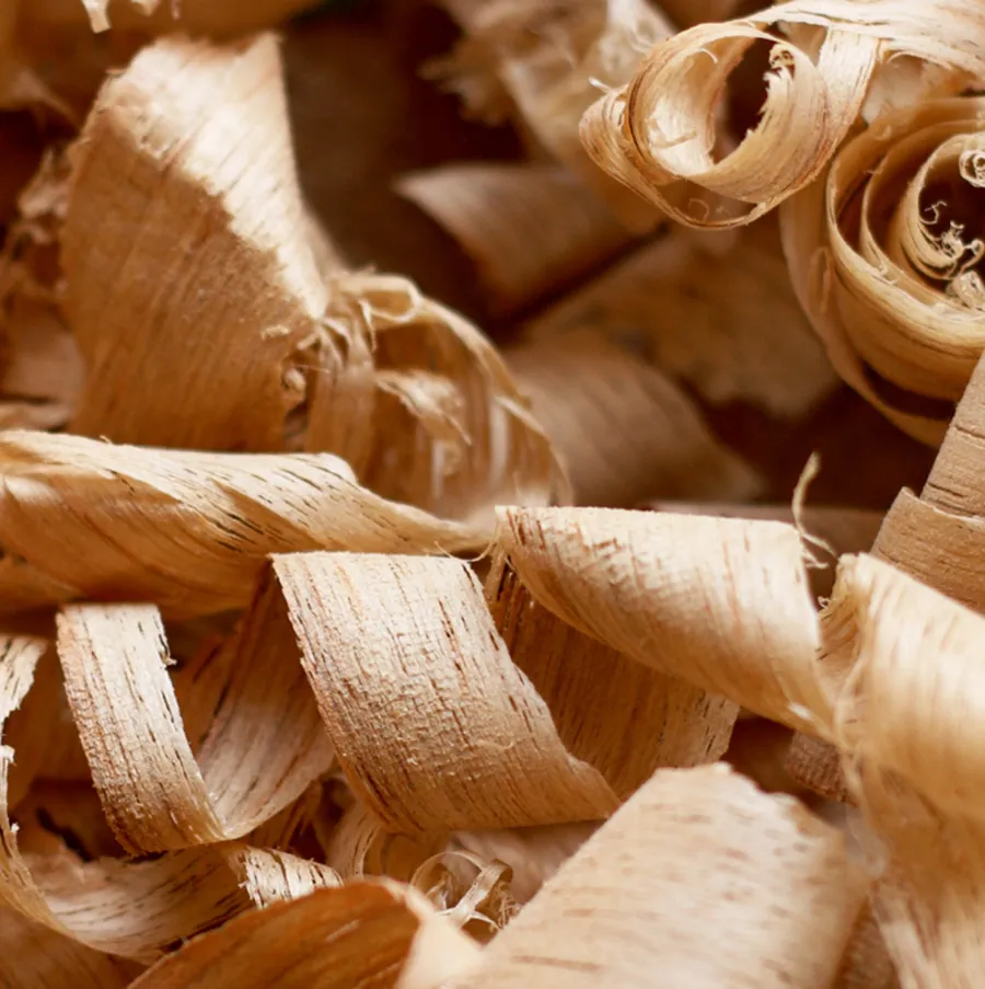 Tổng quan về nước hoa gỗ tuyết tùng