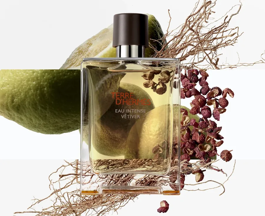 Hermès Terre d’Hermès