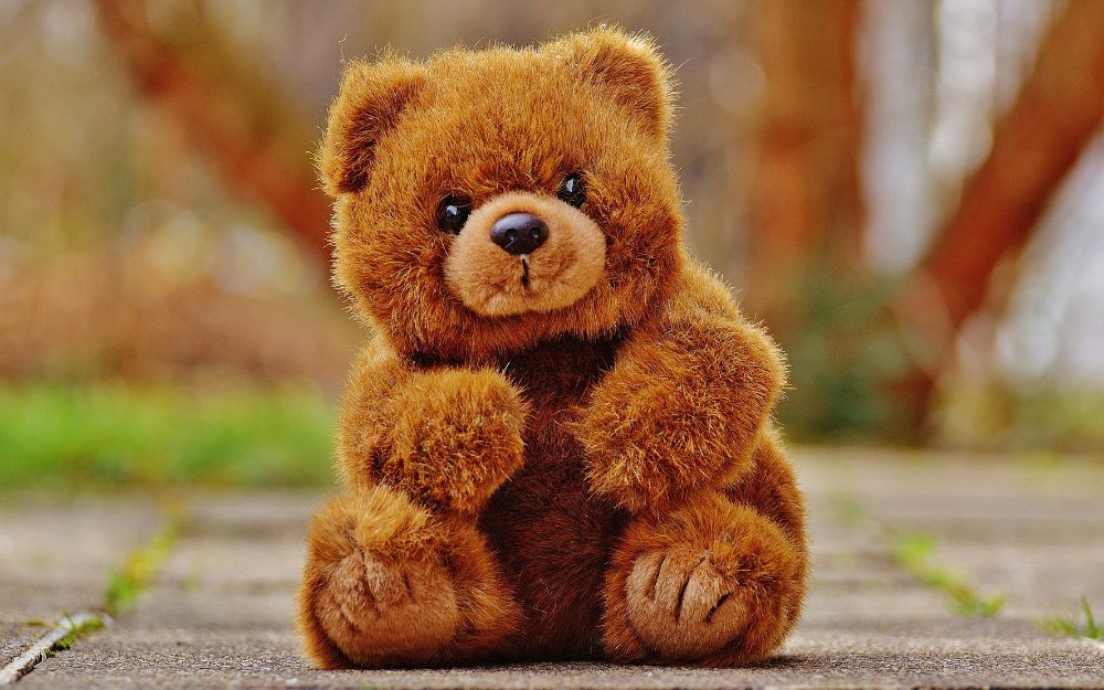 Yêu Xa Nên Tặng Quà Gì Cho Bạn Gái? Gợi Ý 15 Món Quà Hot Hit - 8