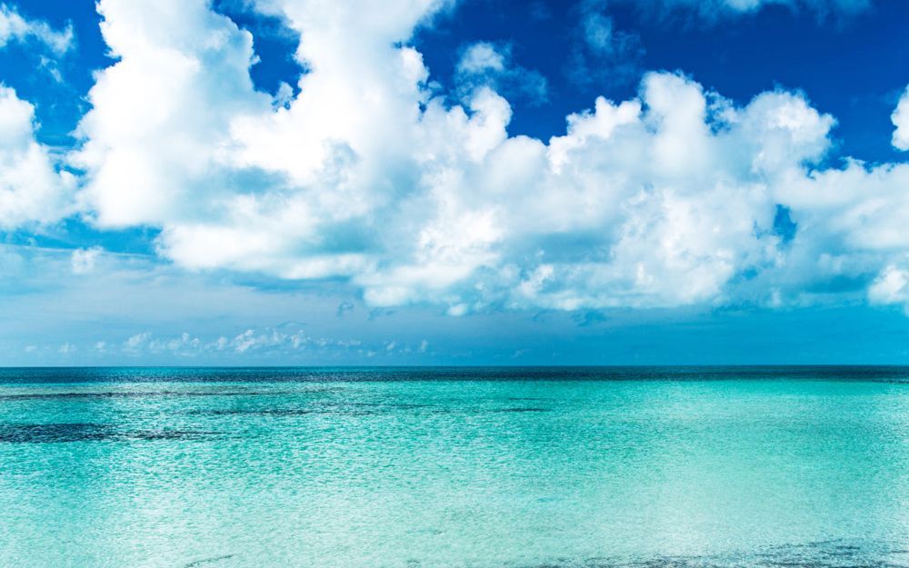 Top 9 Tinh Dầu Nước Hoa Dubai Nữ Mùi Nào Rất Thơm  - 6