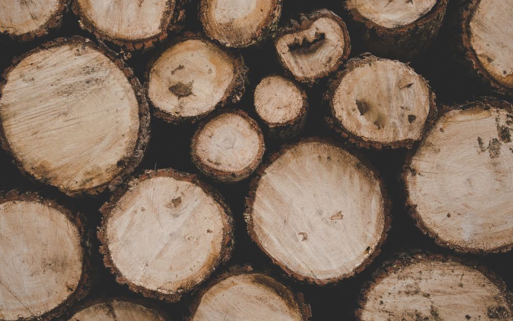 Top 9 Tinh Dầu Nước Hoa Dubai Nữ Mùi Nào Rất Thơm  - 8