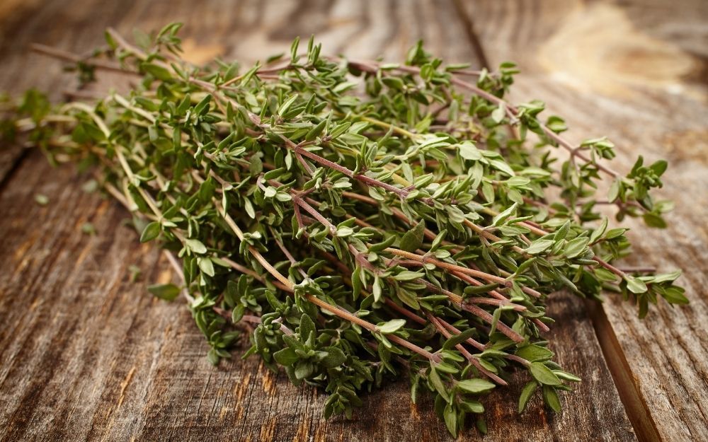 Top 10 Nước Hoa Mùi Xạ Hương Cho Nữ Thơm Lâu, Quyến Rũ 2025 - 1