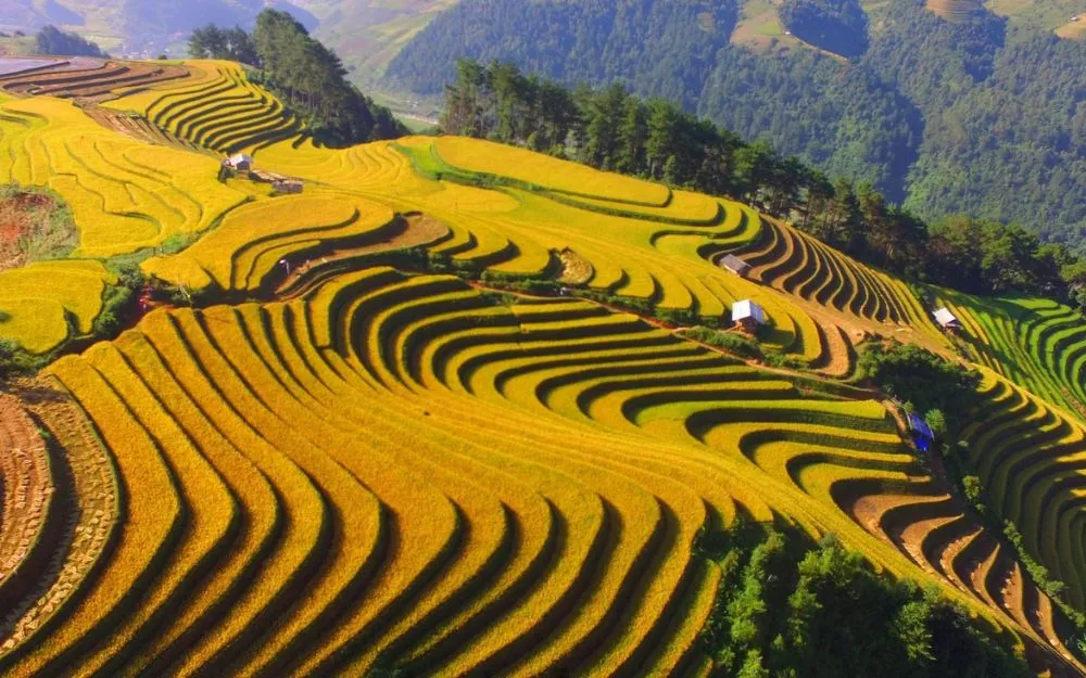 Đi Mù Cang Chải Mặc Gì? 20+ Outfits Chụp Ảnh Ruộng Bậc Thang Đẹp - 23