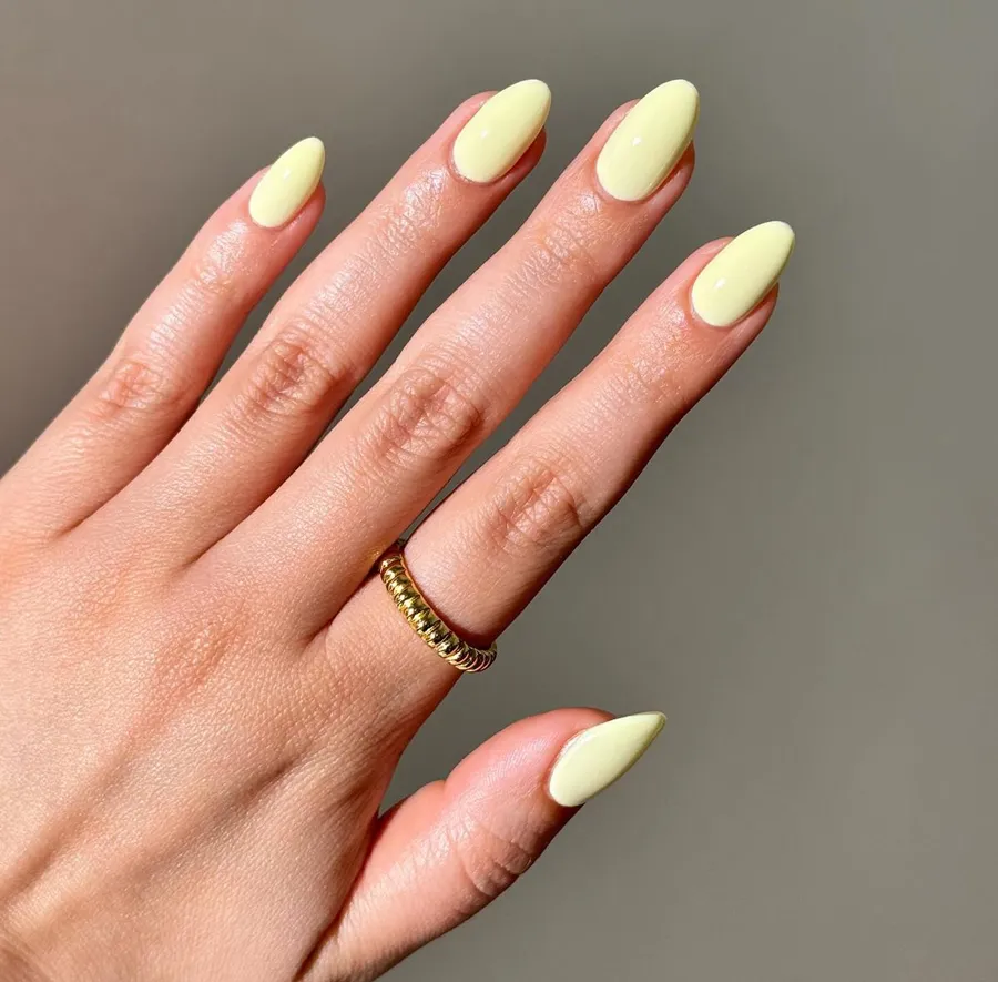 Màu Sơn Vàng Sữa