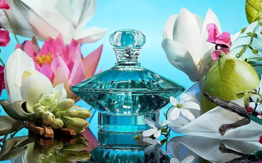 Review 5 Nước Hoa Britney Spears Bán Chạy, Thơm Nức Mũi  - 9