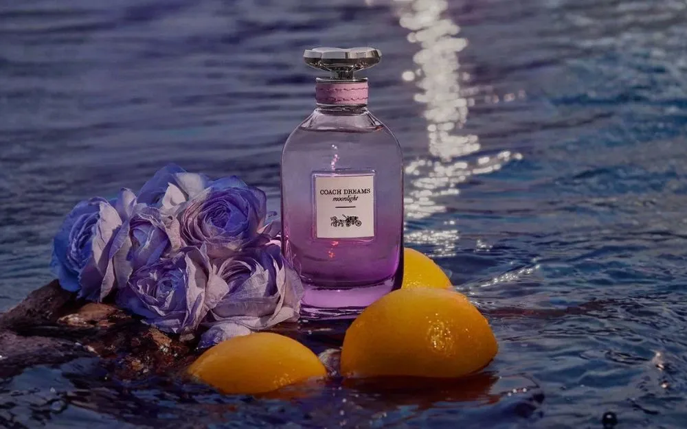 Review 10 Nước Hoa Coach Hot, Đang Bán Chạy Hiện Nay - 21