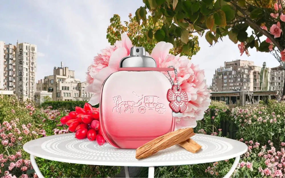 Review 10 Nước Hoa Coach Hot, Đang Bán Chạy Hiện Nay - 5